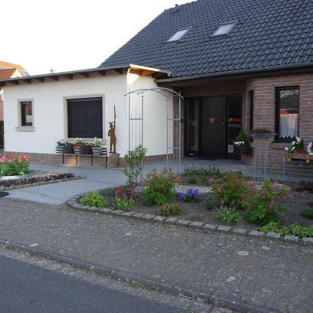 Gaestehaus Am Hermann Hoerstel Ngoại thất bức ảnh